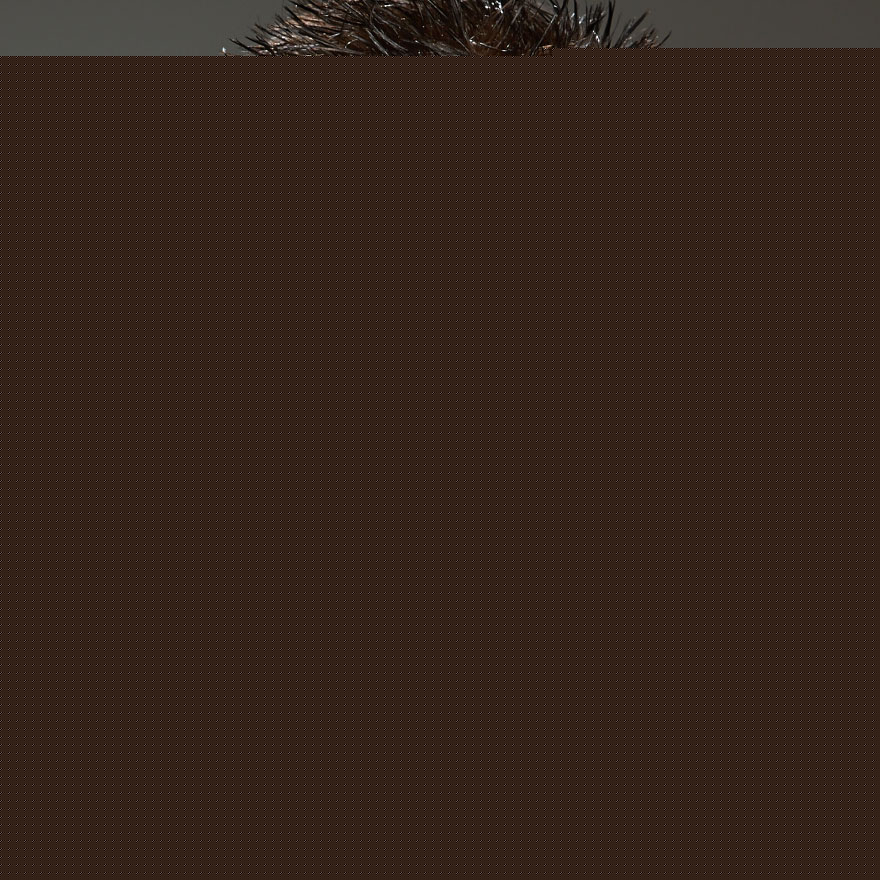 Referent Prof. Dr. Marcus Riekeberg